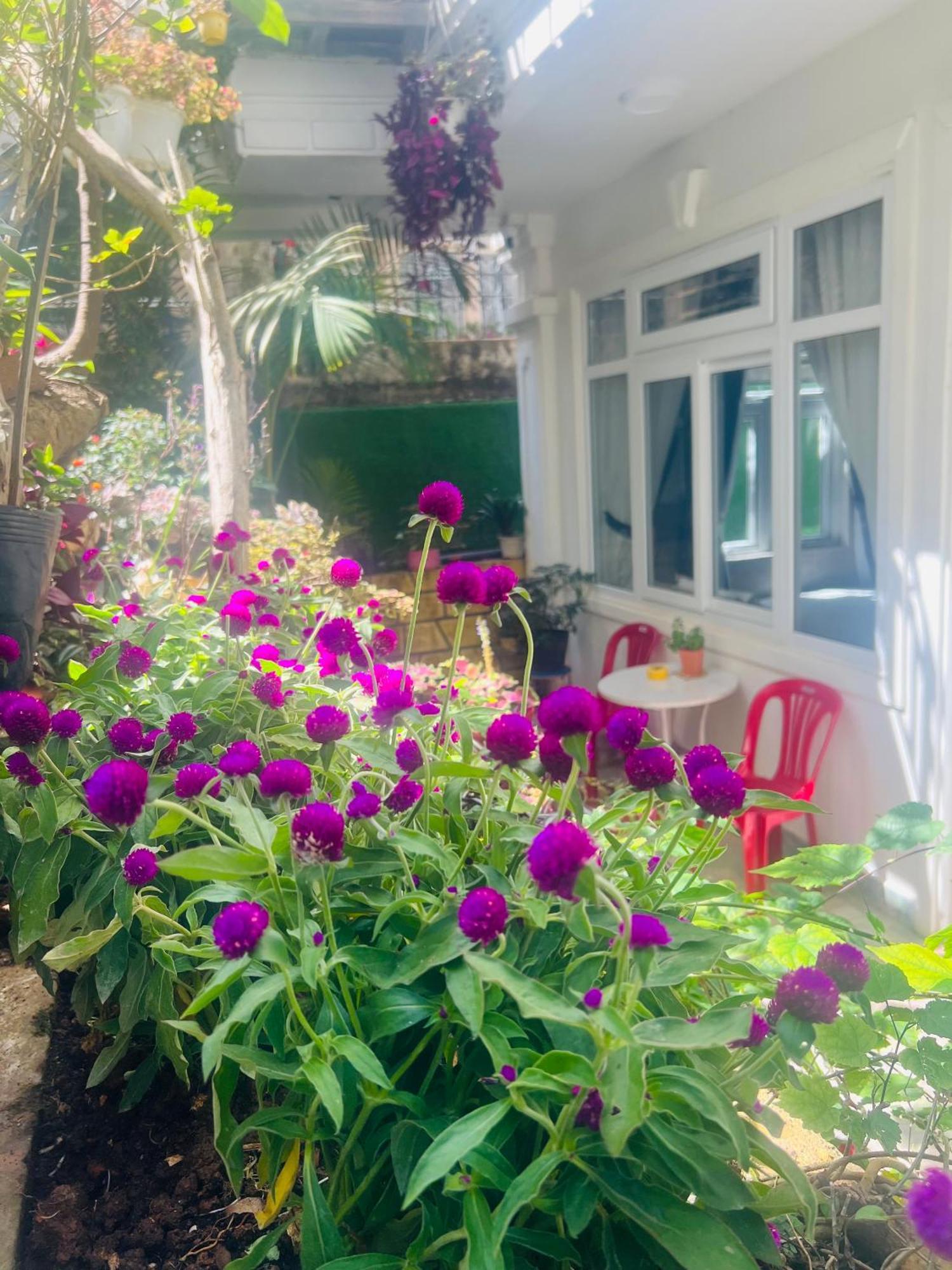 Villa - Hotel Nam Khang 2 Dalat 외부 사진